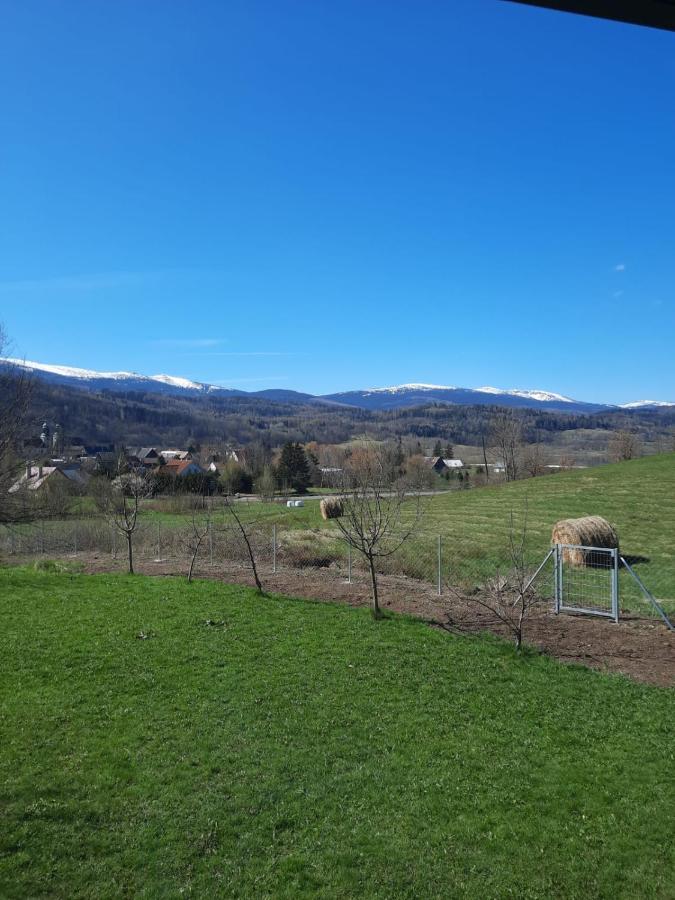 Arnikowa Widokowka Villa Sosnowka  Luaran gambar