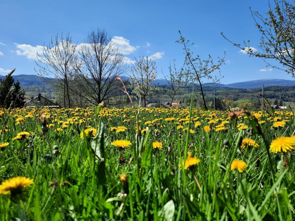 Arnikowa Widokowka Villa Sosnowka  Luaran gambar